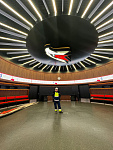 Дополнительное изображение конкурсной работы Комплексное оформление стадиона G-Drive arena город Омск